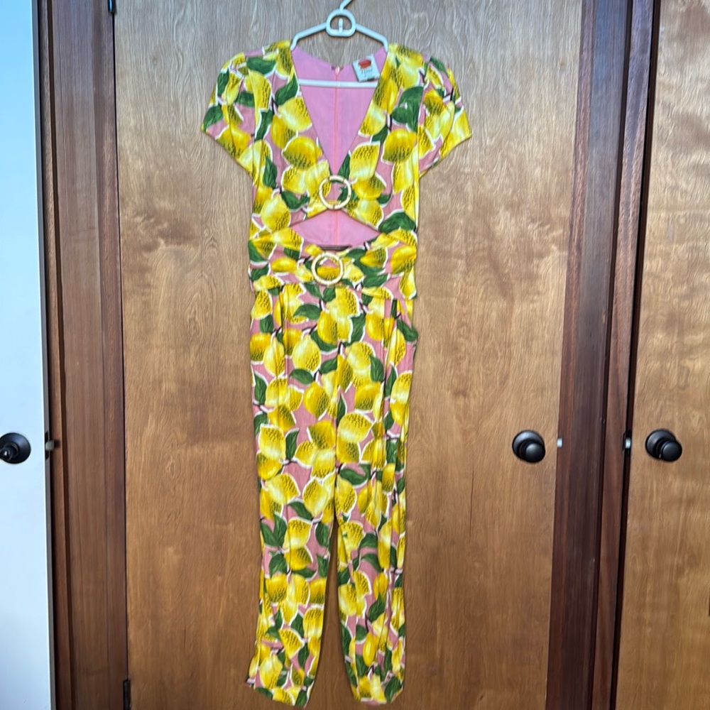 Farm Rio lemonade stand jumpsuit